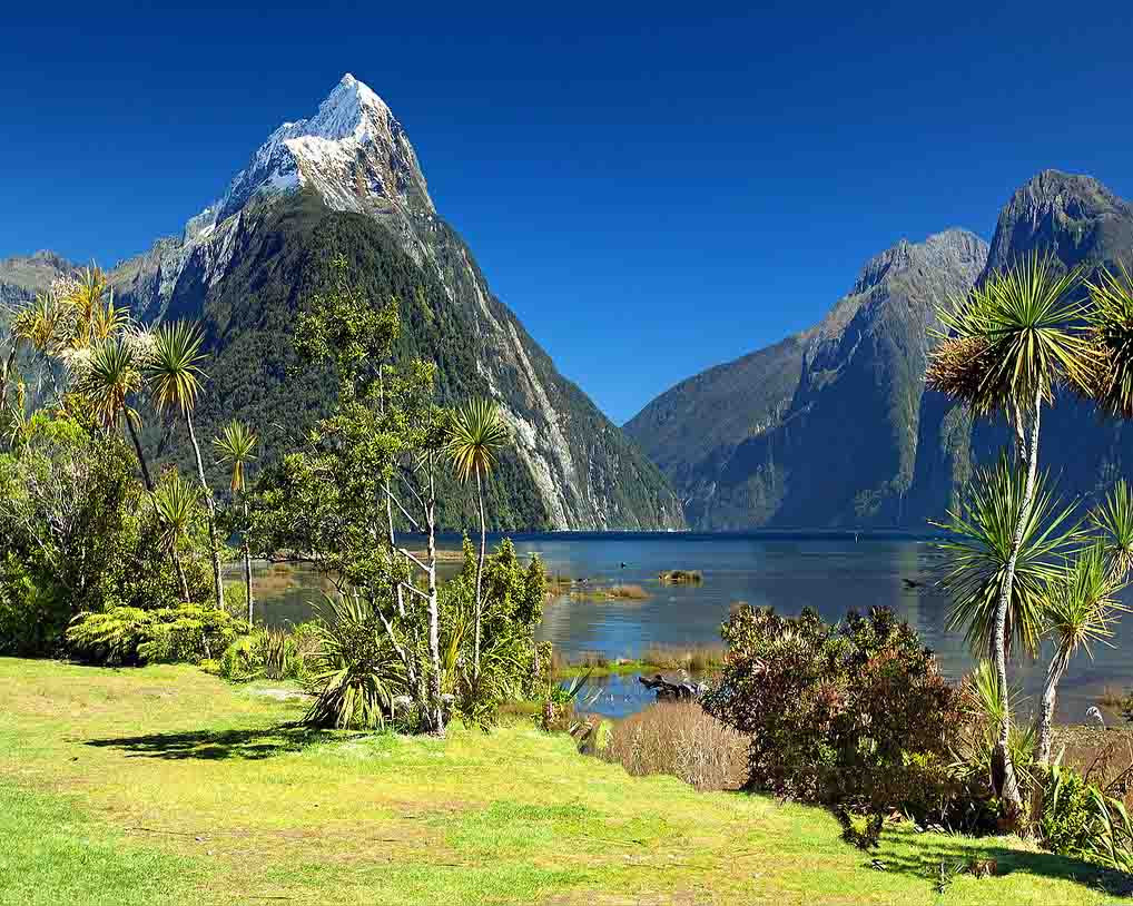 New Zealand Tour Packages